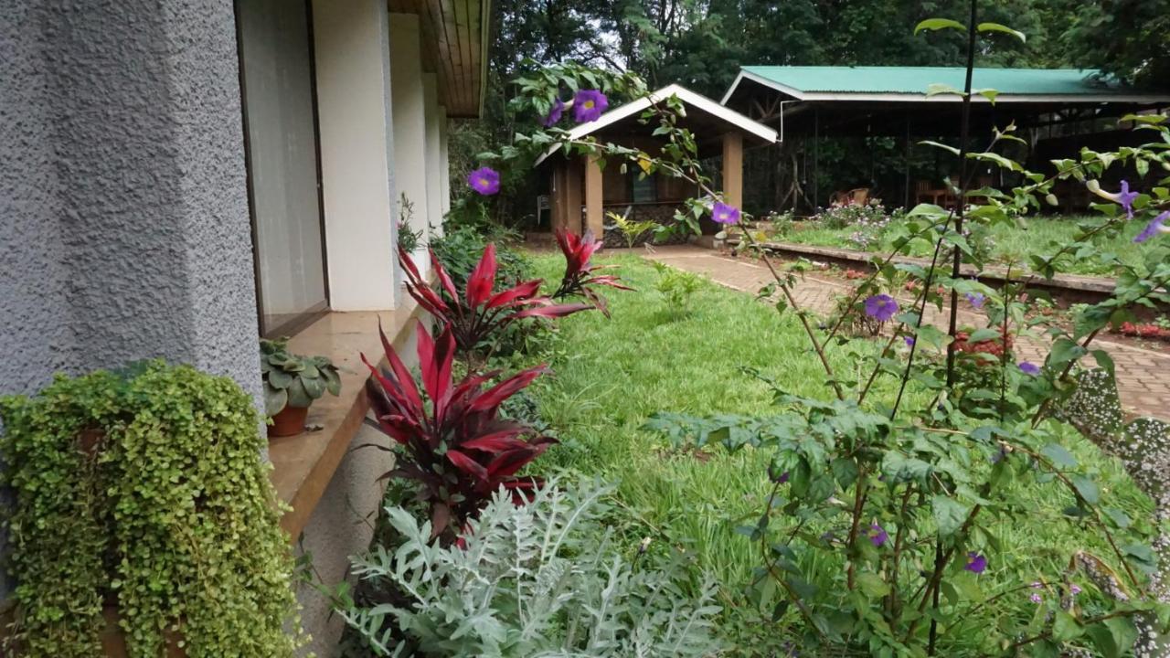 Bed and Breakfast Walk With Us Africa Moshi Zewnętrze zdjęcie