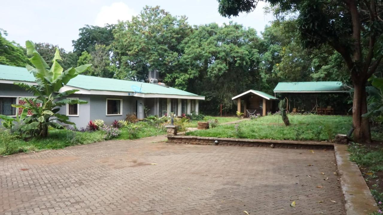 Bed and Breakfast Walk With Us Africa Moshi Zewnętrze zdjęcie