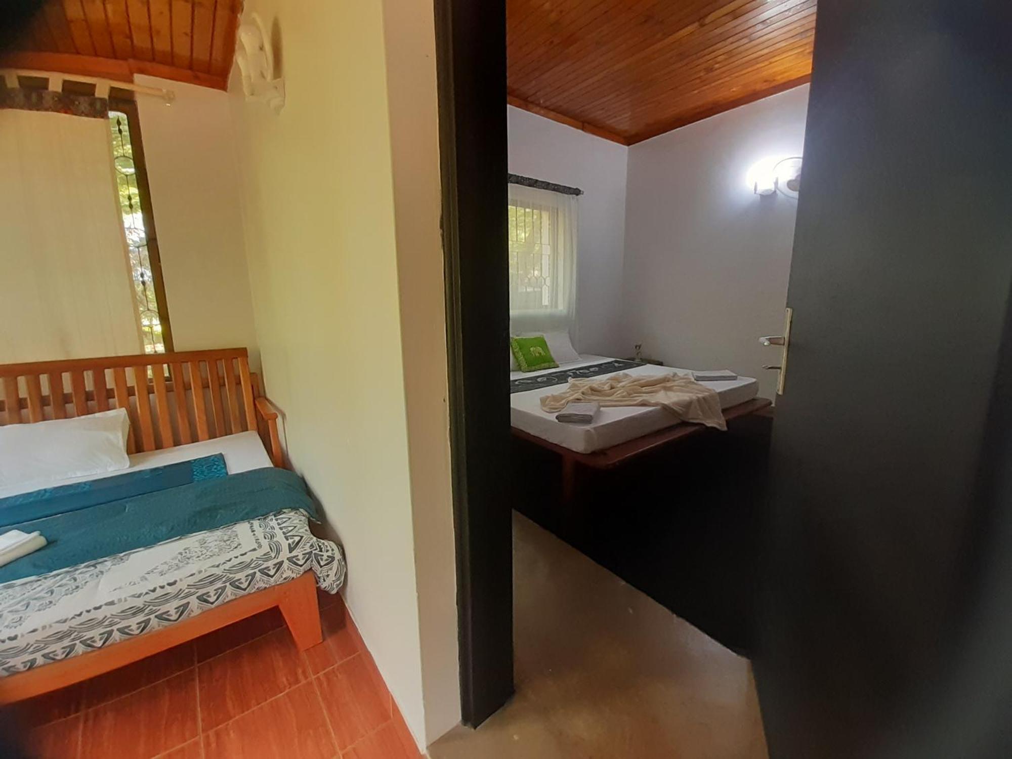 Bed and Breakfast Walk With Us Africa Moshi Zewnętrze zdjęcie